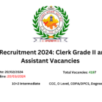 RSMSSB Recruitment 2024: Clerk Grade II and Junior Assistant Vacancies – Apply Now (Advertisement 06/2024)